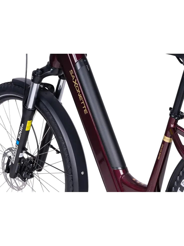 Deluxe SUVEasy ebike midmotor