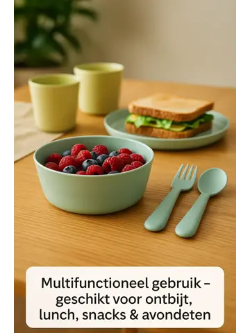 Serviesset 24-delig - Picknickset