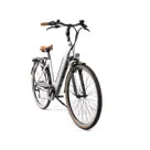 L' Amant Eco BG e-bike Silver Villette