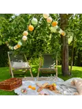 Outdoor Lichtslinger - Starter - Jungla