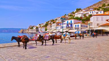 griekenland_saronische eilanden_hydra_haven_ezels_shutterstock