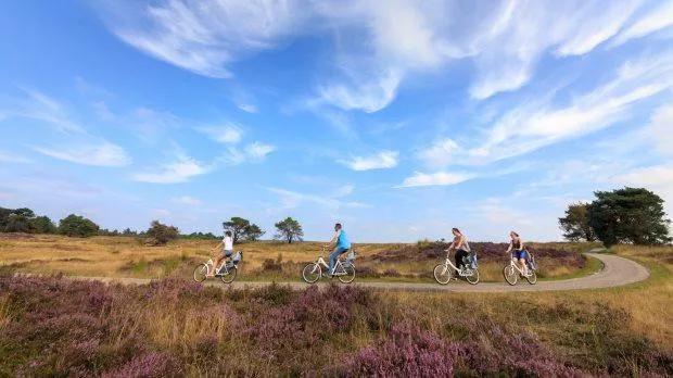 Impressie van Het Nationale Park De Hoge Veluwe