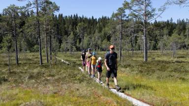 fox_zweden_midden-zweden_frederiksberg_safsen-resort_wandelen-gezin