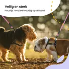 Reflecterende Hondenriem 3m