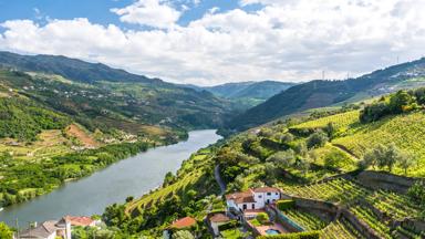 portugal_douro_algemeen_vakantie-noord-portugal_douro-vallei_douro-rivier_heuvels_shutterstock