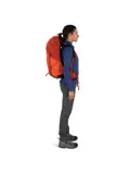 Osprey Tempest Pro 30 silver lining