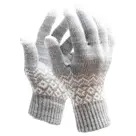 R2B Touchscreen Handschoenen Winter - Grijs