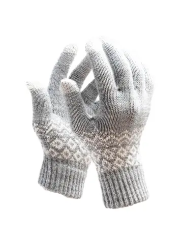 Touchscreen Handschoenen Winter - Grijs