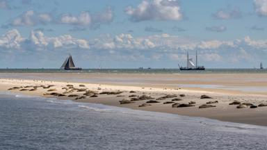 Waddeneilanden