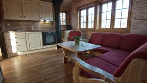 hotel_noorwegen_oostland_tyinkrysset_filefjellstuene_appartement-woonkamer_h