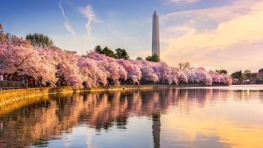 verenigde-staten_washington-dc_washington-monument_reflecting-pool_reflectie-obelisk_b