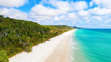 australie_fraser-island_eiland_zandstrand_jungle_zee_shutterstock