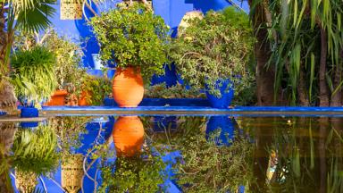marokko_marrakech-safi_marrakesh_jardin-tuin_majorelletuin_detail_water_reflectie_plant_b