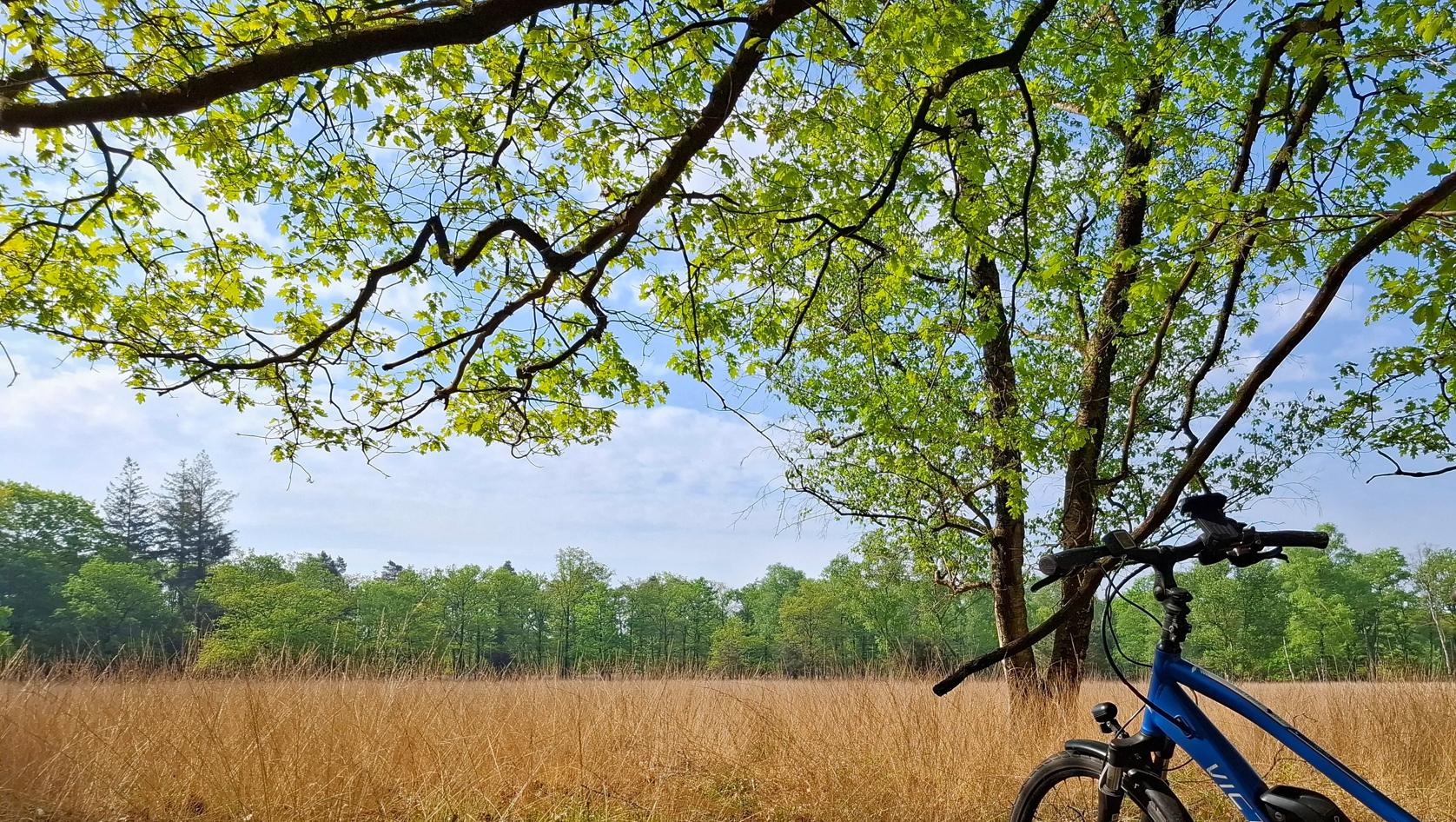 Fietsroutecontroleur: Het Nationale Park De Hoge Veluwe