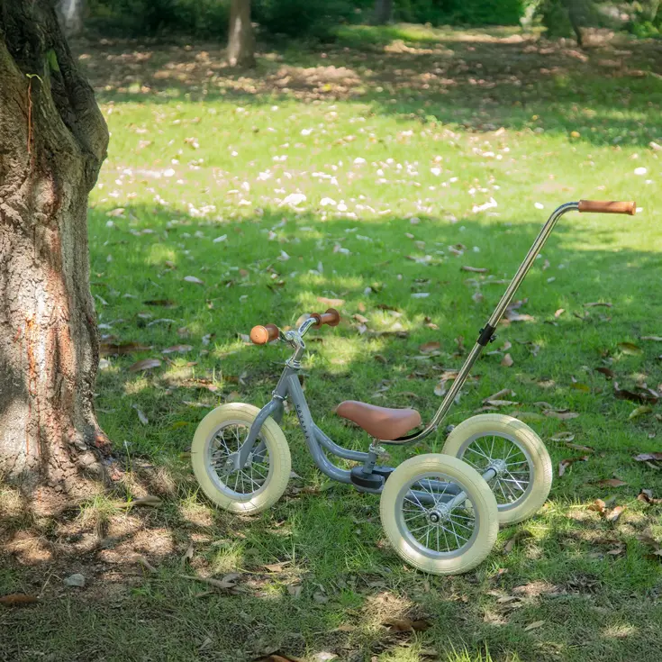 2-in-1 Loopfiets Driewieler met Duwstang