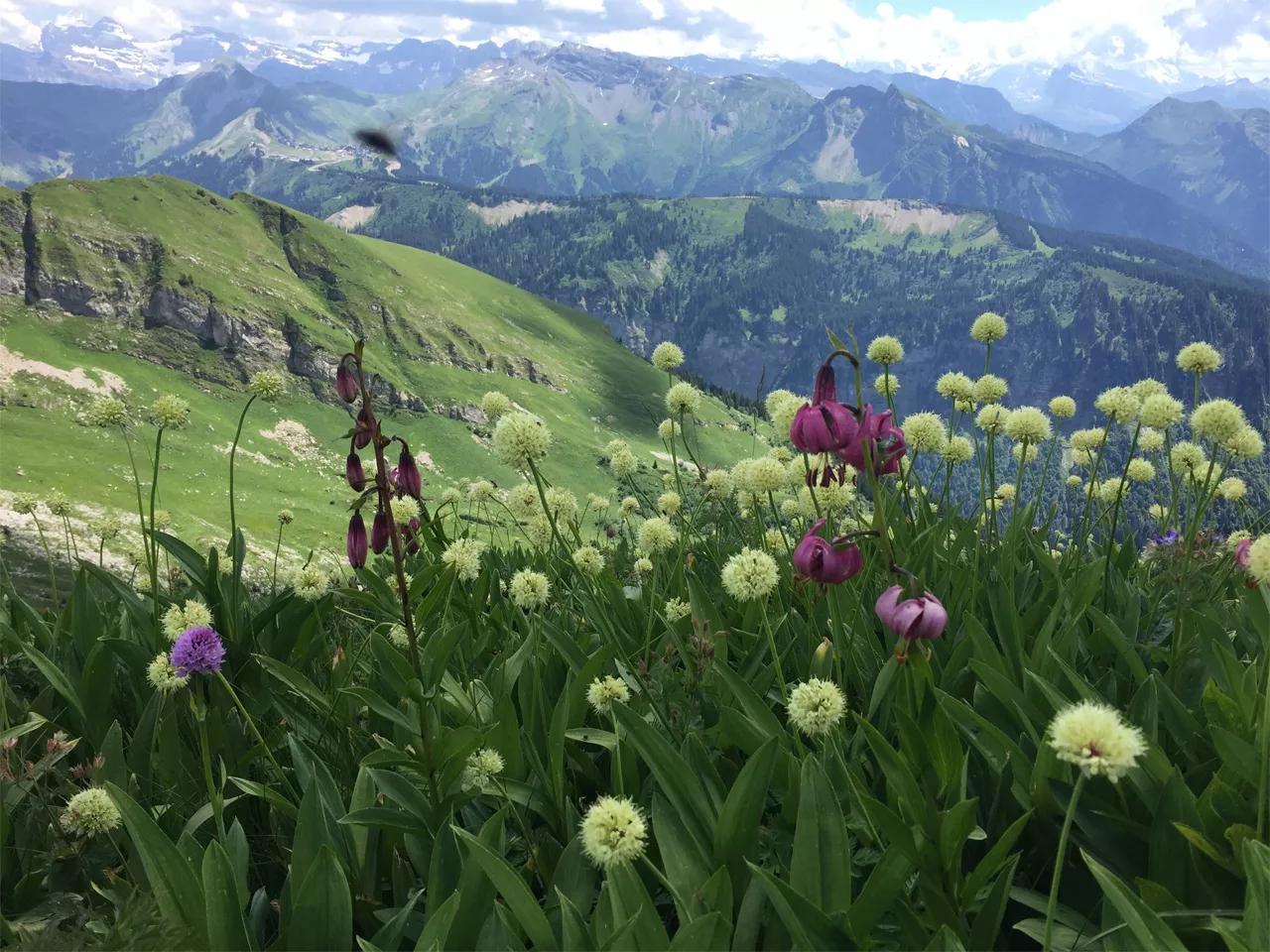 Omgeving Hotel Esprit Montagne