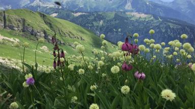 Omgeving Hotel Esprit Montagne