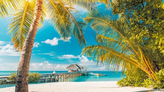malediven_algemeen_strand_palmbomen_zee_pier_hutjes_getty