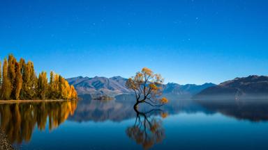 nieuw-zeeland_zuidereiland_wanaka_meer_boom_reflectie_sterren_avond_getty