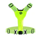 Led Reflectievest Oplaadbaar Rogelli