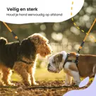 Reflecterende Hondenriem 3m