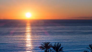 spanje_balearen_mallorca_algemeen_zee_zonsondergang_palmbomen_pixabay