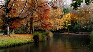 nieuw-zeeland_zuidereiland_christchurch_hagley-park_water_herfst_bomen_pixabay