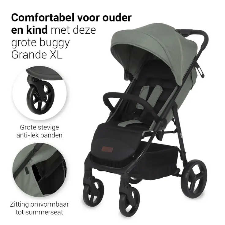 Grande Go - Buggy