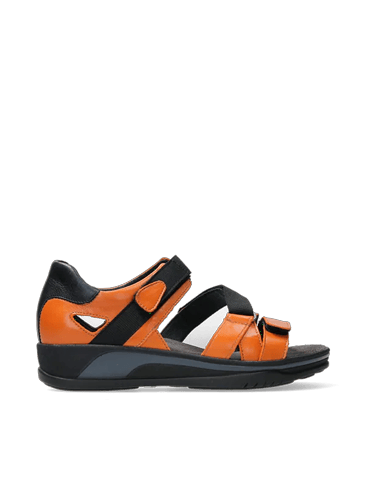 Desh - Sandalen dames - Wolky