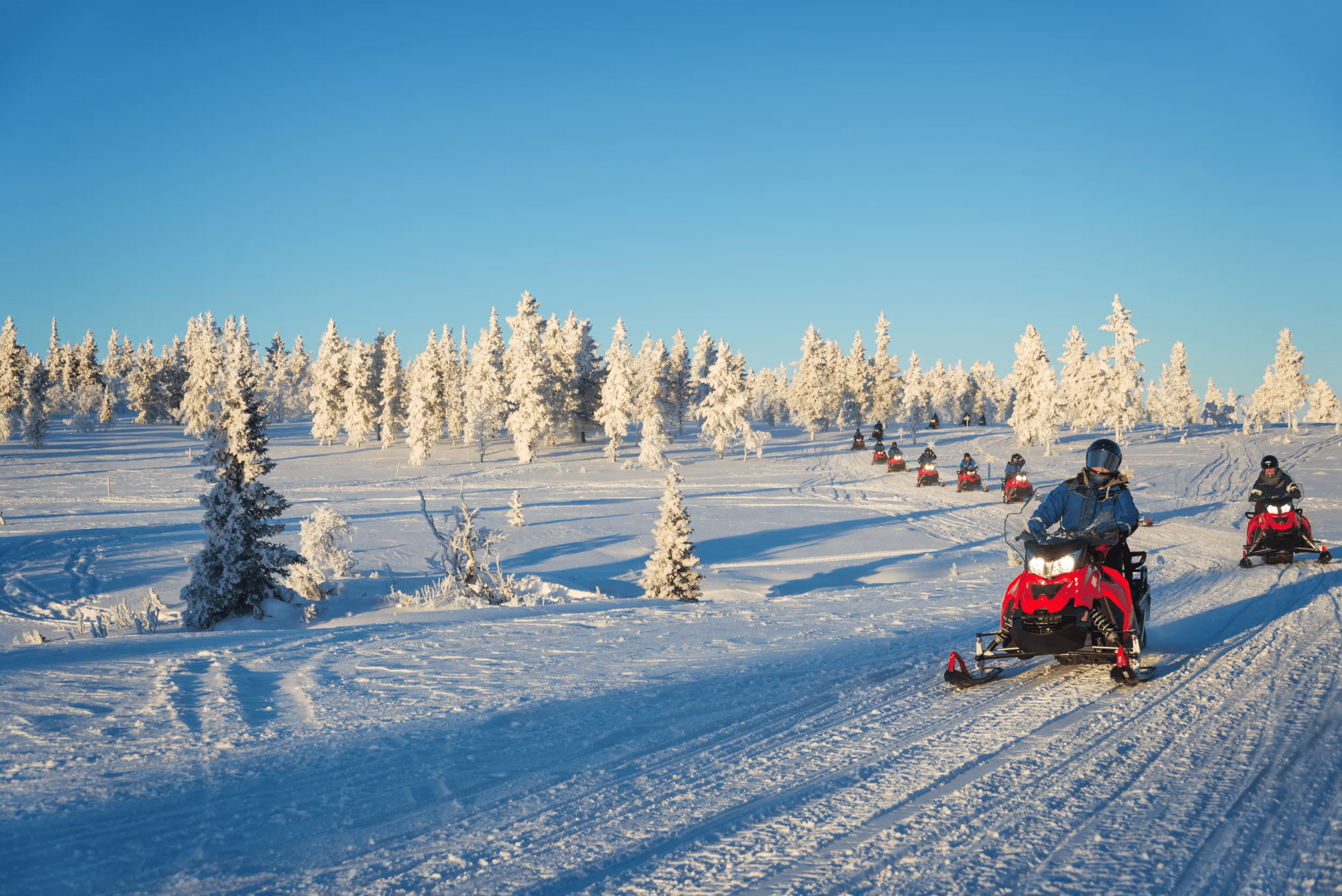 8-daagse groepswintervakantie Fins Lapland - Posio - Winterbeleving in het hoge Noorden afbeelding