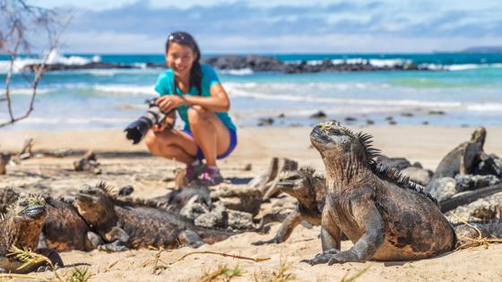ecuador_galapagos_isabela-island_puerto-villamil-beach_strand_iguana_vrouw_toerist_marine-iguana_shutterstock_1456577519