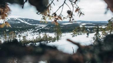 finland _fins-lapland_levi-sneeuwschoenwandelen-bos