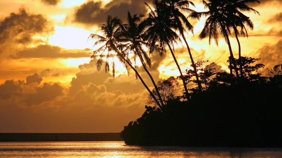 sri-lanka_algemeen_lagune_zonsondergang_strand_silhouette_palmboom_w