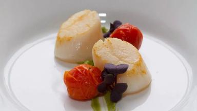 hotel_nederland_wellerlooi_hotel-de-maasparel_restaurant_eten_coquilles_detail