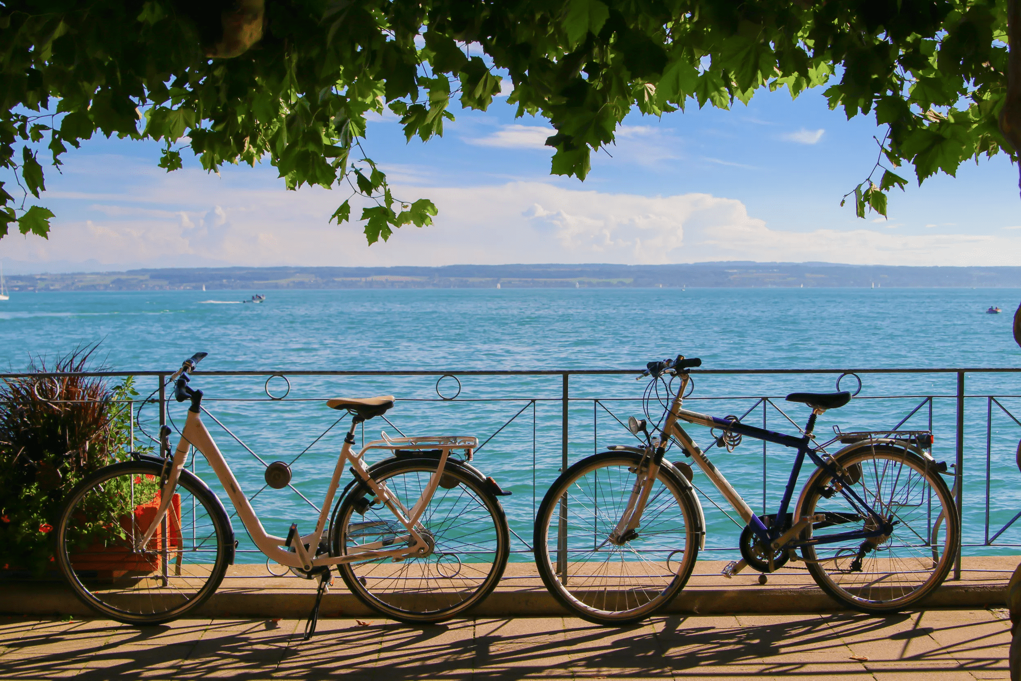 Fietsvakantie 9-daagse fietsvakantie Bodensee - Op de fiets door 3 landen in Diversen (Duitsland, Duitsland)