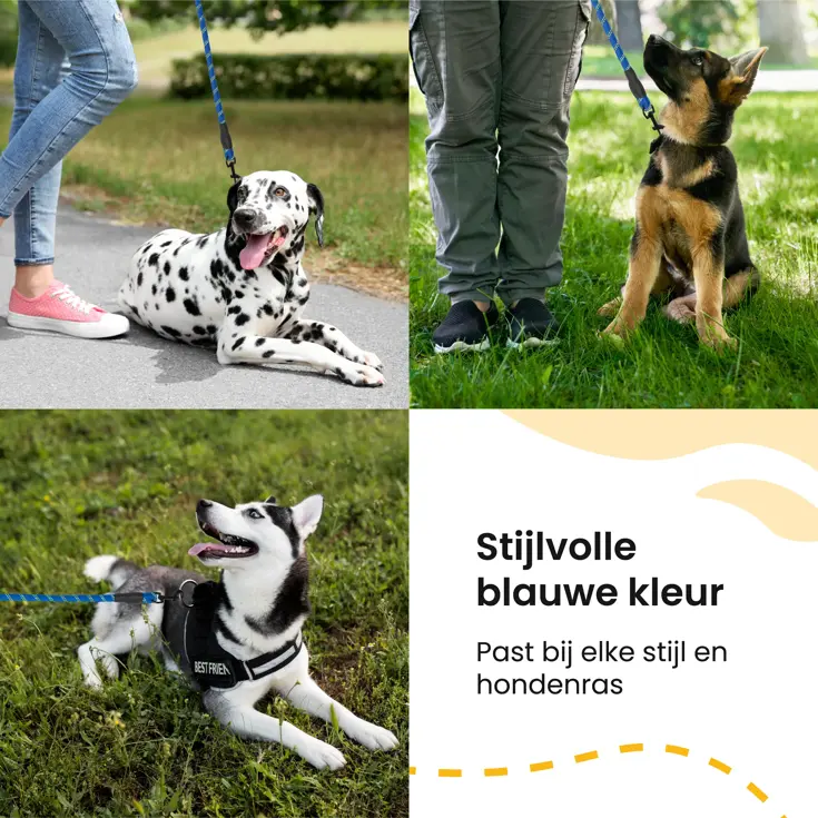 Reflecterende Hondenriem 3m