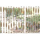 IVOL Vliegengordijn - Robin - 90x220 cm