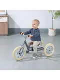 2-in-1 Loopfiets Driewieler met Duwstang