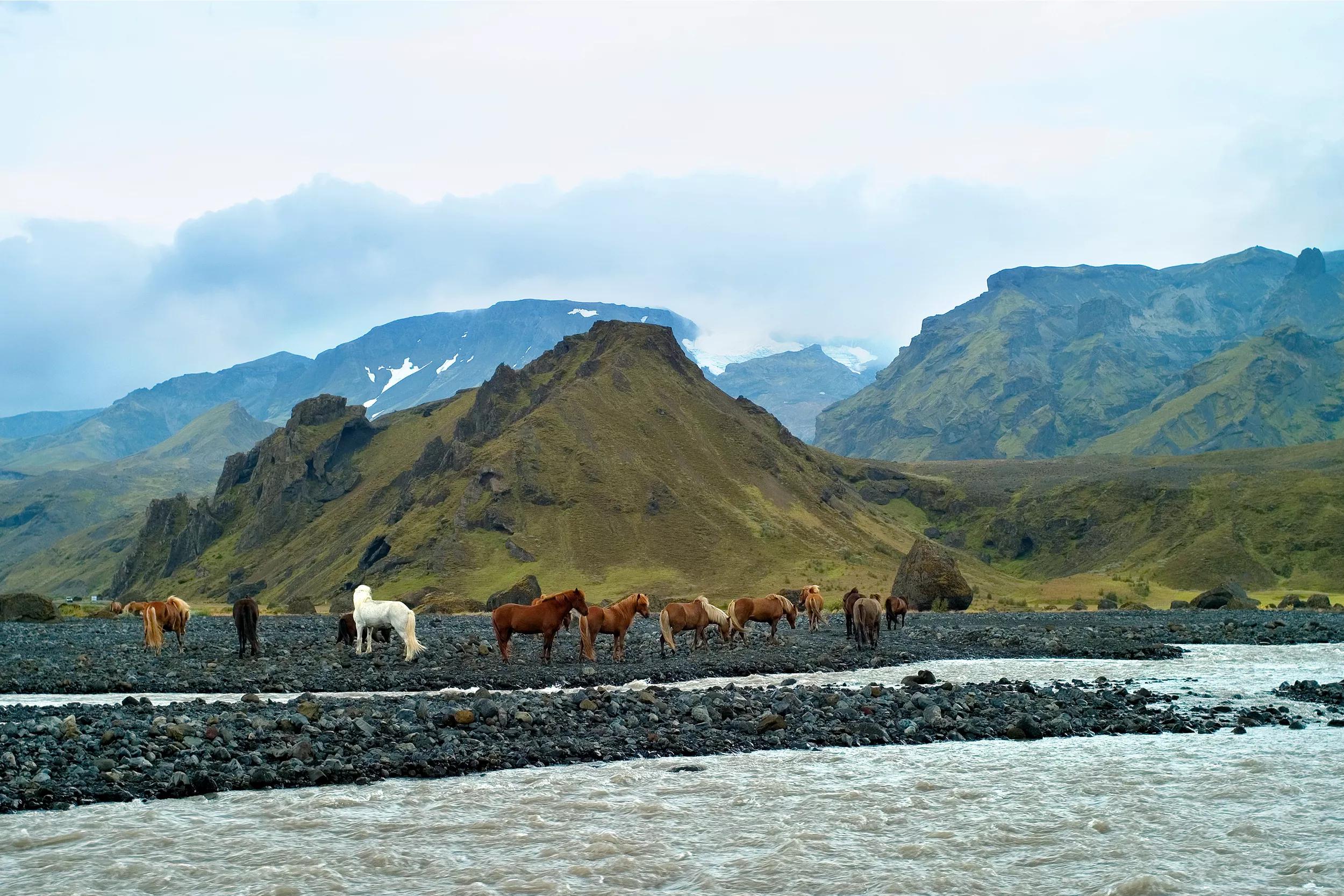 5-daagse singlereis Magisch IJsland