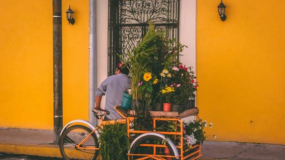 Barrio de Santiago, Mérida, Mexico