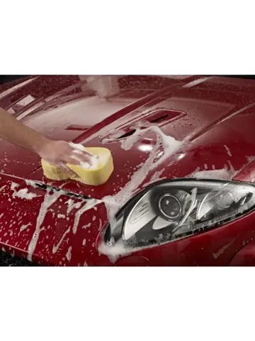 Bodywork Shampoo Conditioner 500 ml