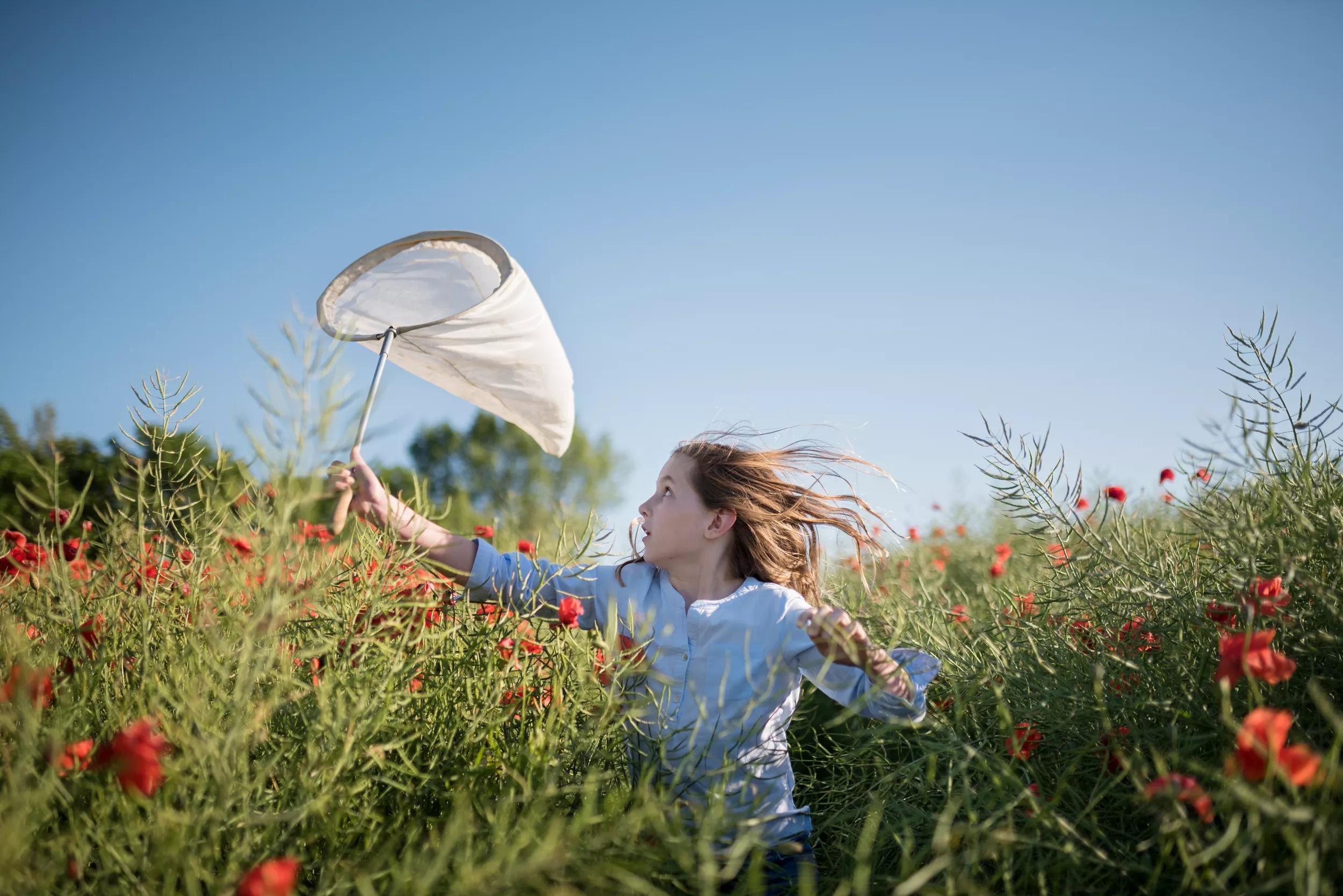 Meivakantie 2025 data, tips en inspiratie ANWB