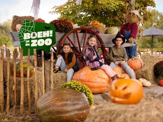 Impressie van Eindhoven Zoo