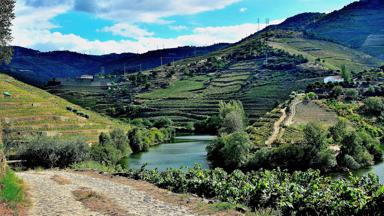 Portugal_Douro_cruise_Vasco da Gama_wijnranken aan Douro_copyright