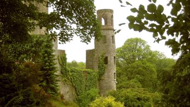ierland_cork-county_blarney-castle_kasteel_toren_bomen_tuin_pixabay