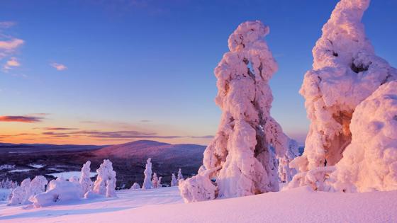 finland_fins-lapland_levi-fell_uitzicht_zonsondergang_sneeuw_shutterstock-314371142