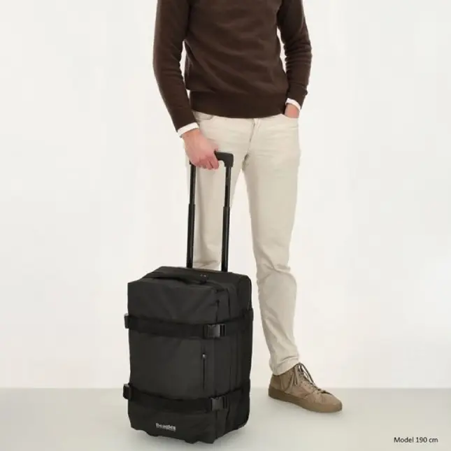 Beagles - Travel - Handbagage reistas