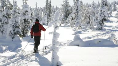 FinsLapland-Posio-HotelKirikeskus-Langlauf-h