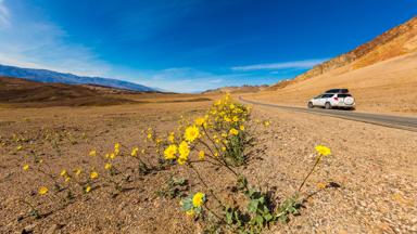 verenigde-staten_californie_death-valley_auto_weg_huurauto_uitzicht_b