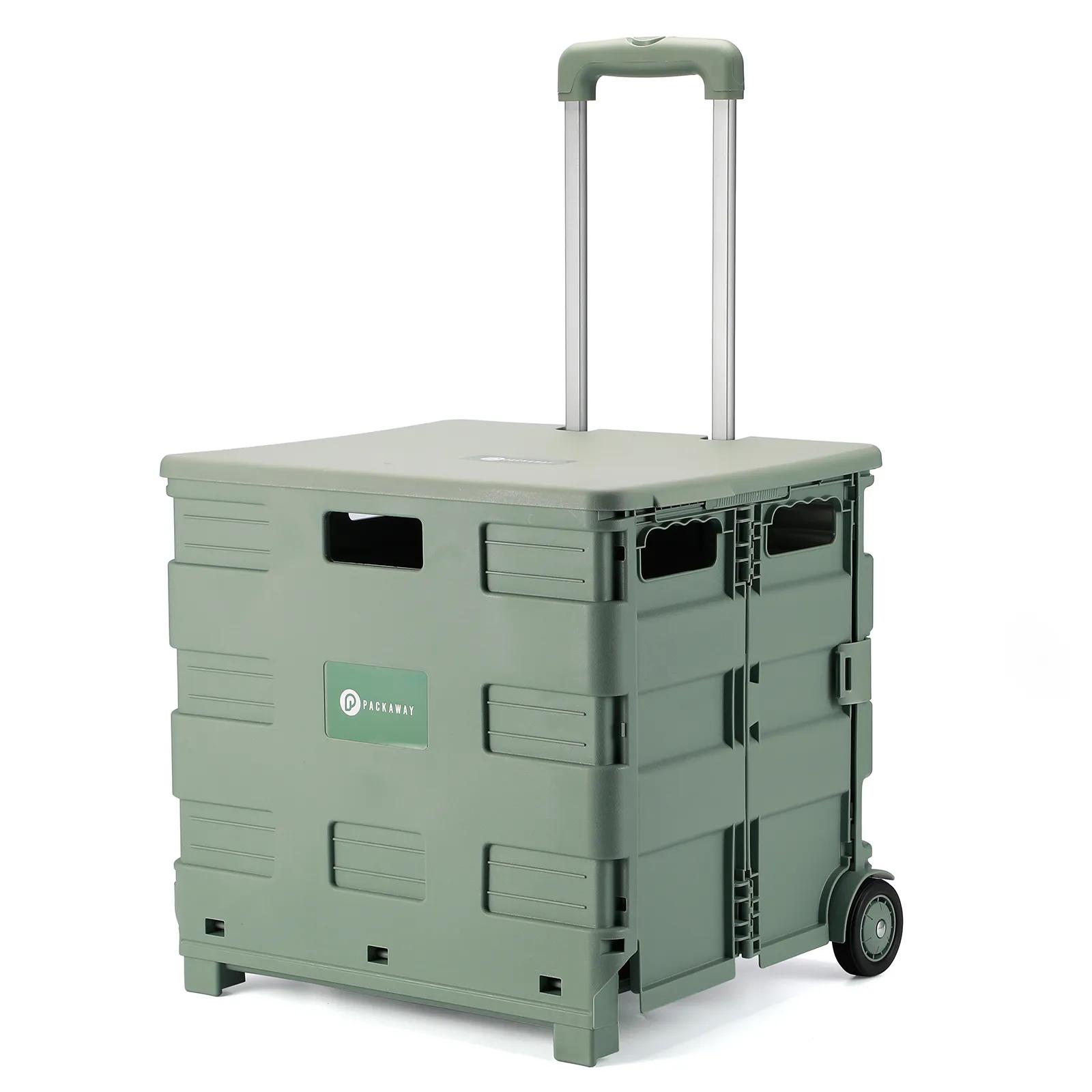 Packaway  Boodschappenkrat  Met Deksel  Groen